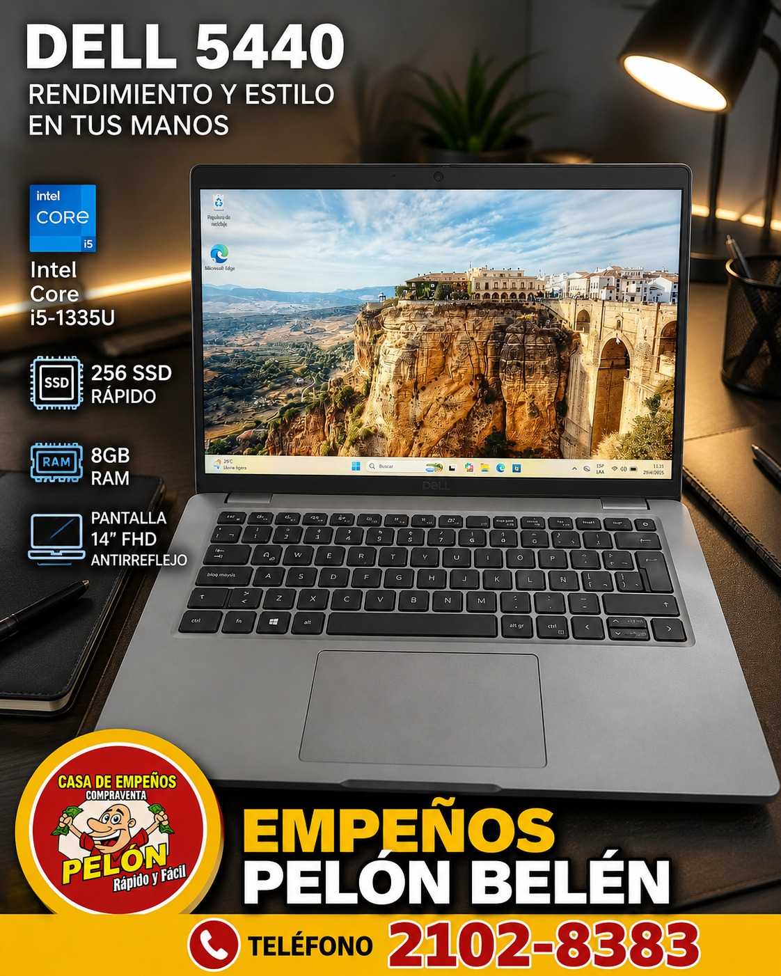 dell p165g